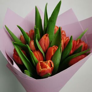 Букет из 17 красных тюльпанов