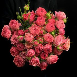 Букет из 15 кустовых розовых роз