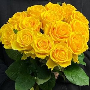 Букет из 15 желтых Роз "Пенни Лейн"(70см)