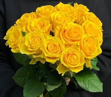 Букет из 15 желтых Роз "Пенни Лейн"(70см)